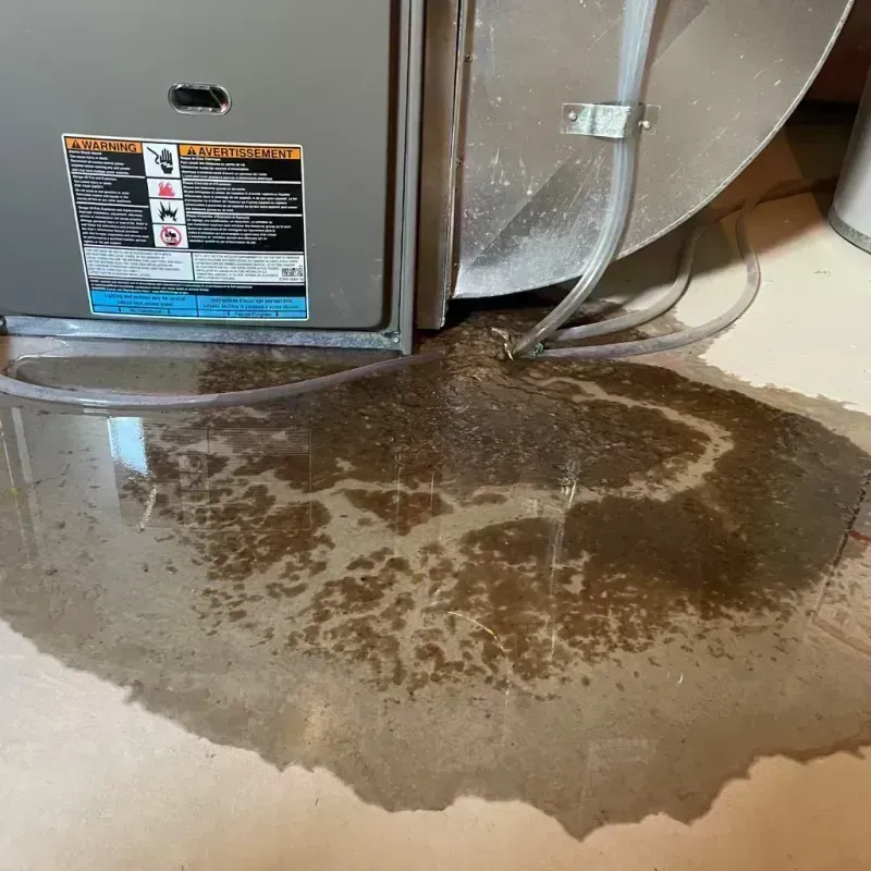 Appliance Leak Cleanup in Gardendale, TX